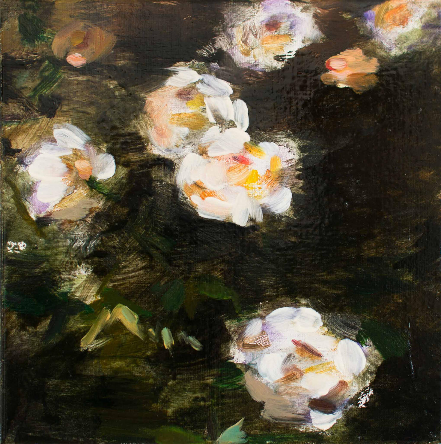 Fleurs